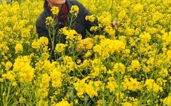 每走一步就会深深的撞一下